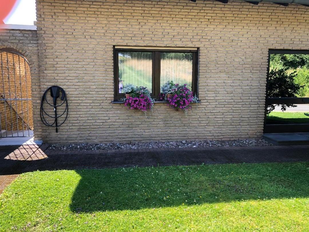 Ferienwohnung Brigitta Altenbeken Экстерьер фото
